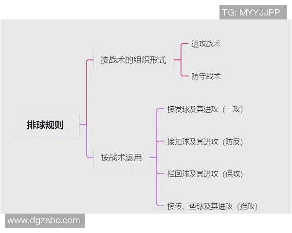 体育实时数据排球战术西安排球队进攻体系的创新与实践探讨