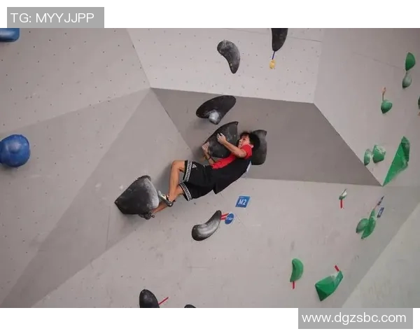 武汉攀岩队实力对比深度解析及未来发展趋势探讨实时数据