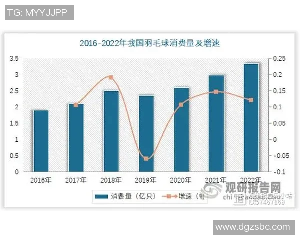 运动最新数据深圳羽毛球队转型之路深度剖析与未来发展展望